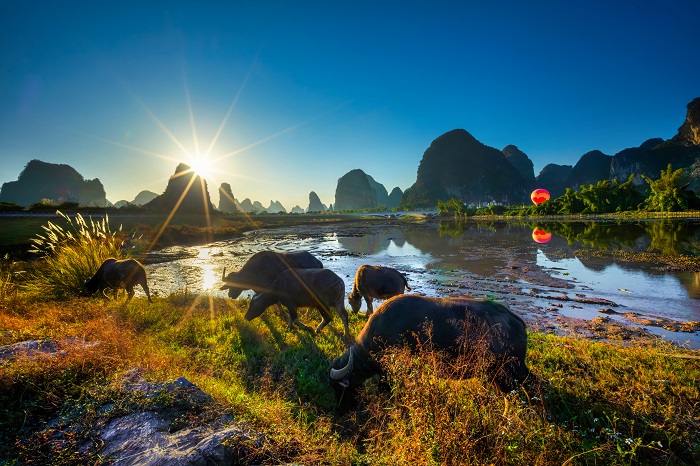 ��˷����������