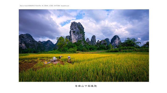 ��ɽ����