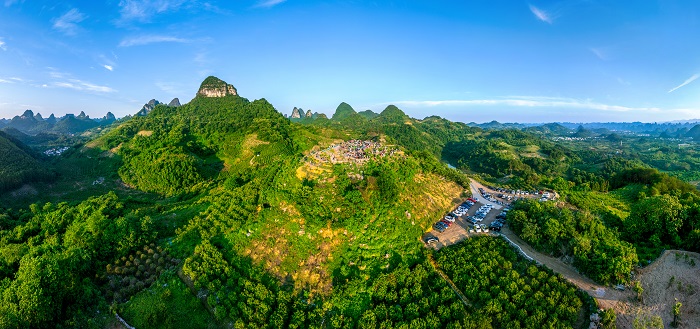 阳朔葡萄夕阳山